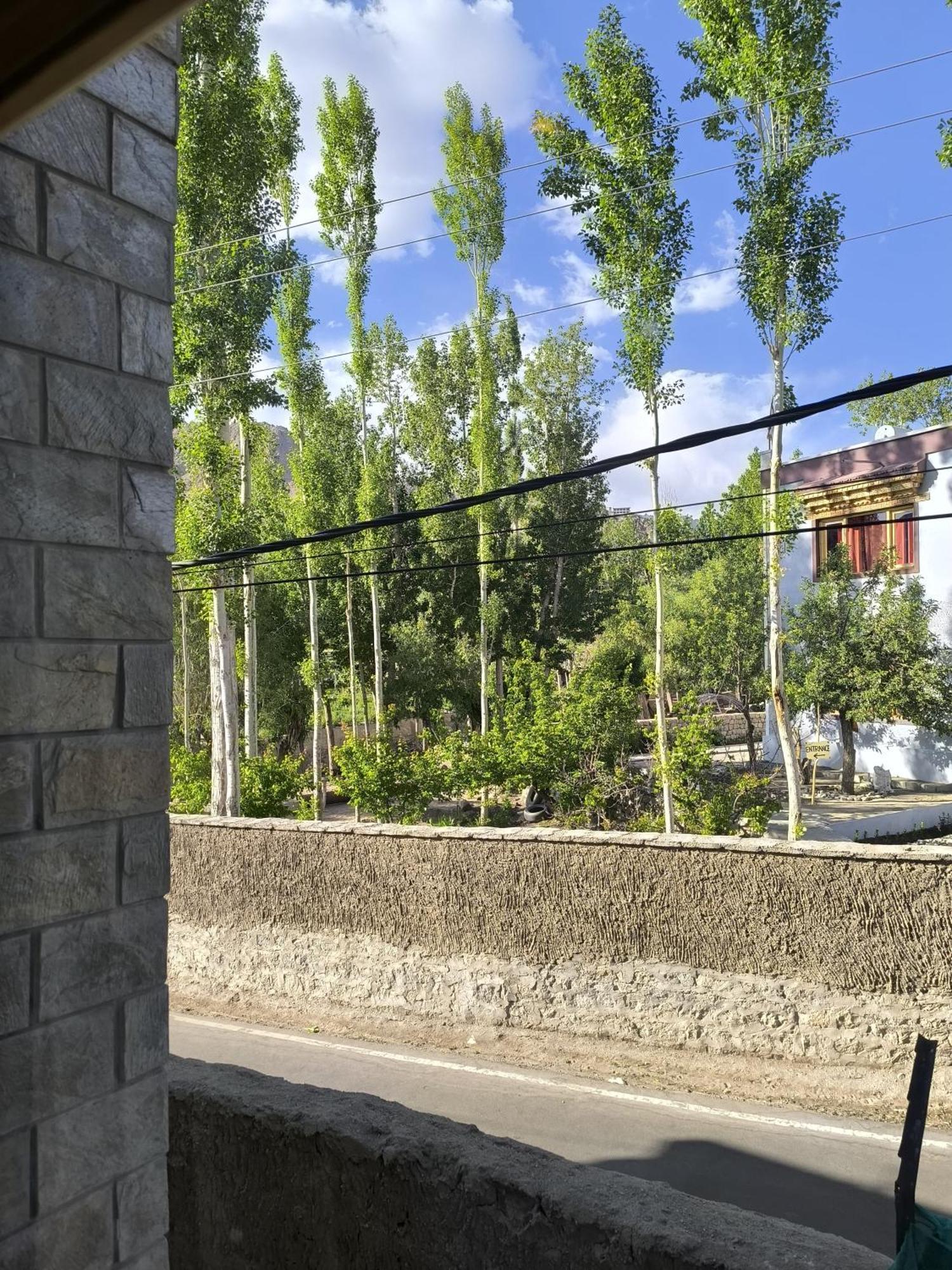 Hidden Leaf Homestay Leh Quarto foto